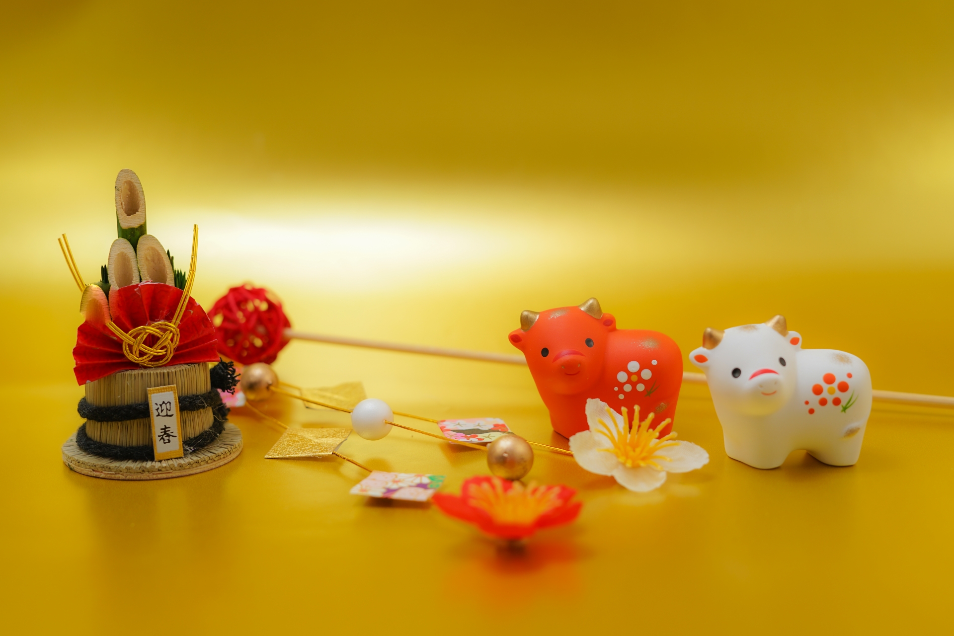 新年あけましておめでとうございます!今年の抱負など